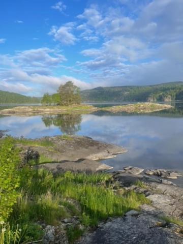 Hyttelaven Pa Furuholmen Sarpsborg Ngoại thất bức ảnh
