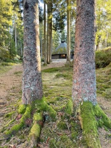 Hyttelaven Pa Furuholmen Sarpsborg Ngoại thất bức ảnh